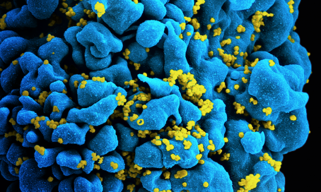 Health: End to AIDS in Sight? Landmark Study Says Yes