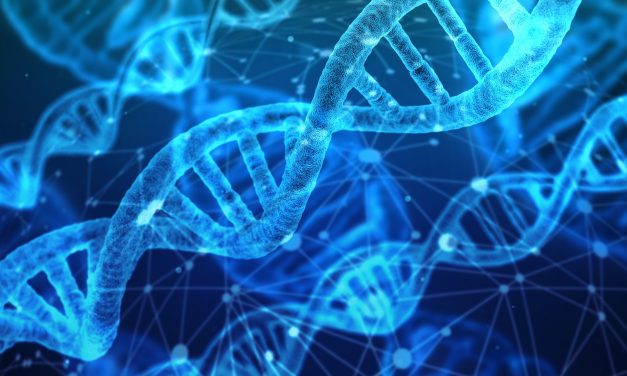 News: Study Says No Specific “Gay Gene” Exists