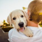 Dating: LGBTQ Relationships Strengthened By Adopting A Dog