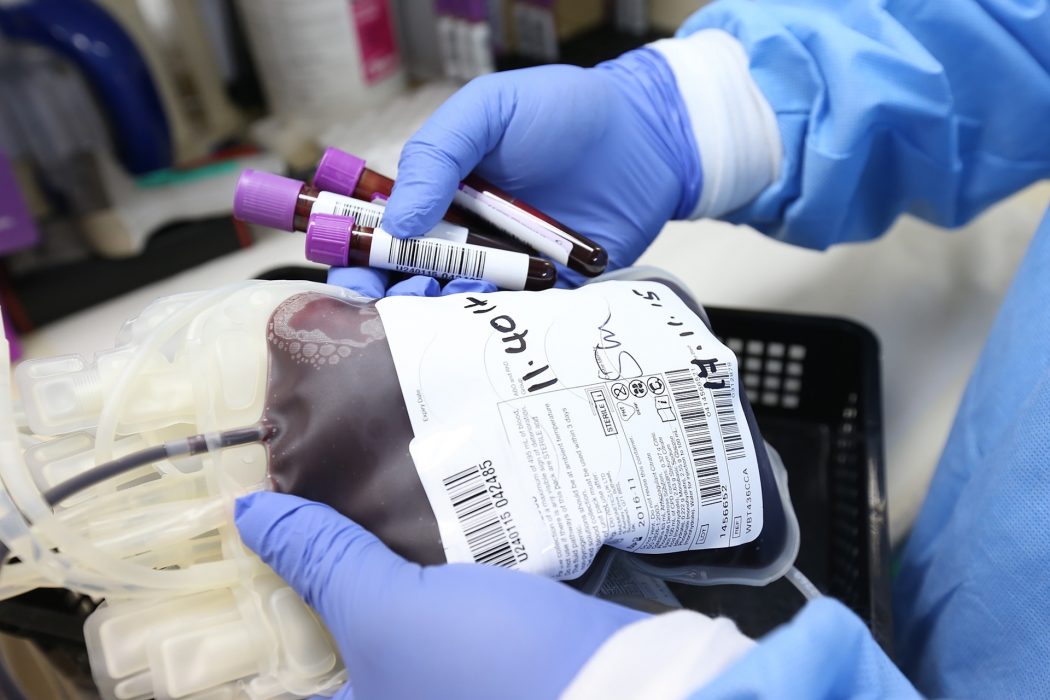 News: Hungary, Brazil Drop Gay Blood Donation Ban