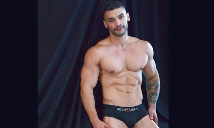 Porn: Who Are Your Favorite Beefy, Muscular Gay Pornstars?