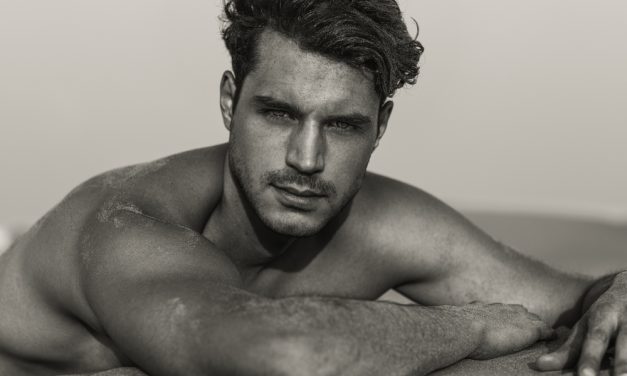 How Popular Are Wolves in the Gay Community?