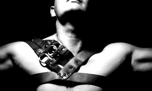 Ready to Strap In? Here are Five Sex Toys for Harness Play