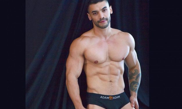Porn: Who’s Your Favorite Gay Porn Star?