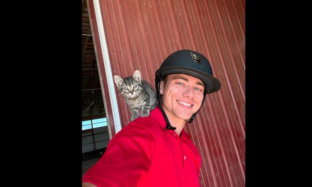News: Adult Film Actor Lane Rogers Passes Away at 31 Following Tragic Accident