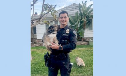 Hottie of the Day: Viral Photo of Sexy Cop with Dogs Sends the Internet Wild