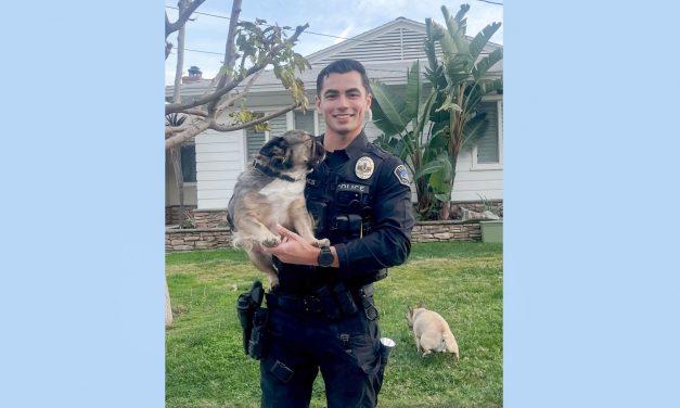 Hottie of the Day: Viral Photo of Sexy Cop with Dogs Sends the Internet Wild